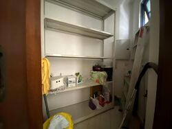 Sanctuary Green (D15), Condominium #576768241